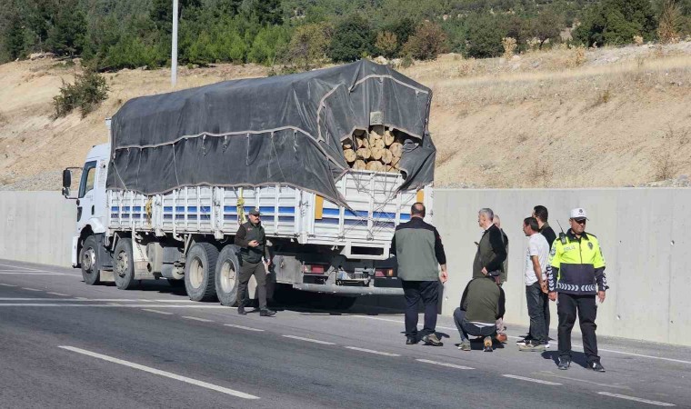 Denizlide orman suçlarına karşı denetimler sıkılaştırıldı