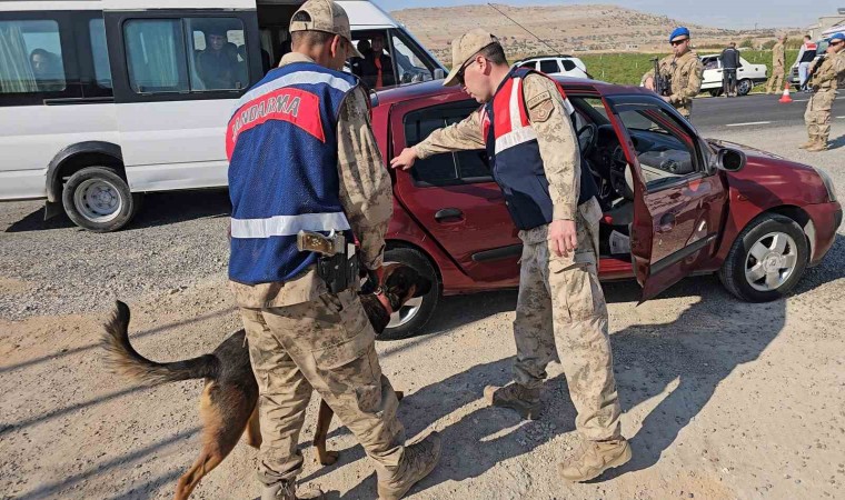 Diyarbakırda jandarma denetiminde 8 asker kaçağı tespit edildi