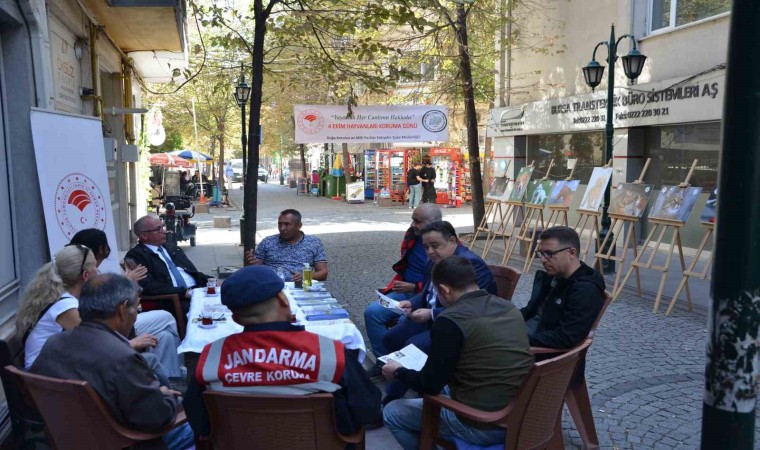 DKMP, Hayvanları Koruma Gününde vatandaşları bilgilendirdi