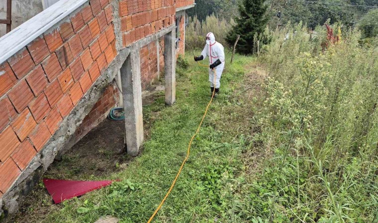 Doğu Karadenizin en büyük ilçesi Ortahisarda kahverengi kokarca ile mücadelede ilaçlama seferberliği başlatıldı