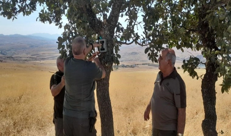 Elazığda fotokapanların bakımı yapıldı