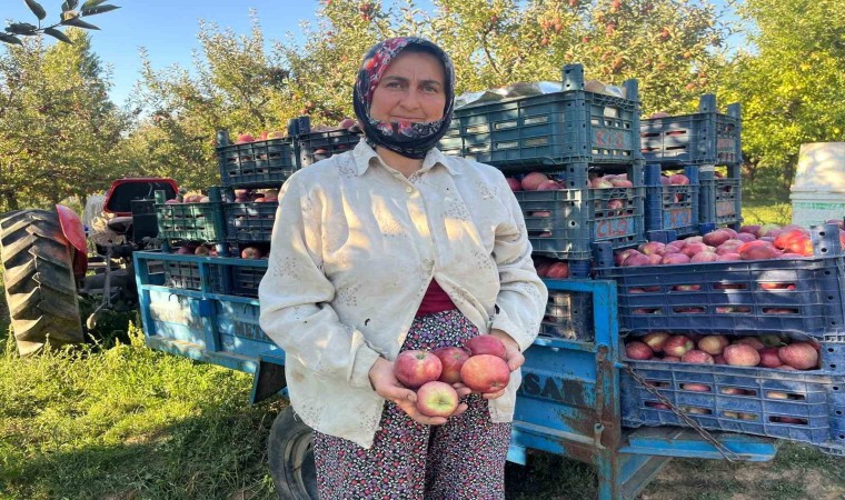 Elma verimi üreticinin yüzünü güldürdü