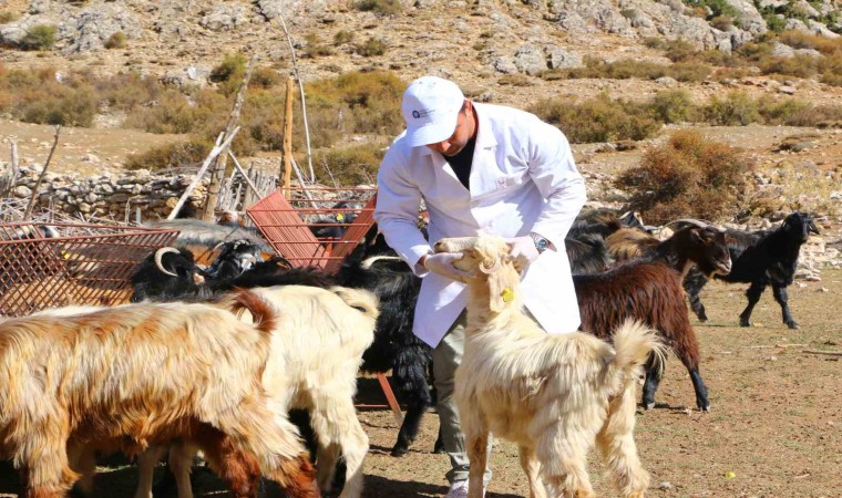 Elmalıda Çoban Haritası Projesi tamamladı