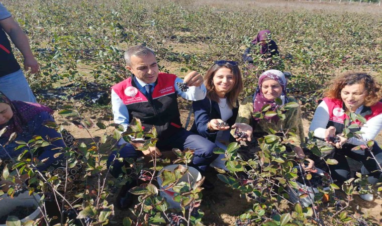 Erdek Kaymakamı Atasoydan Dünya Kadın Çiftçiler Günü Ziyareti