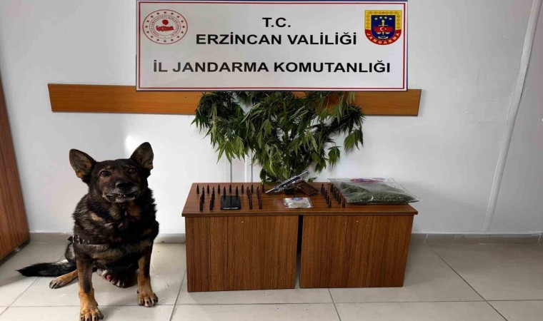 Erzincanda jandarma suç olaylarına geçit vermiyor