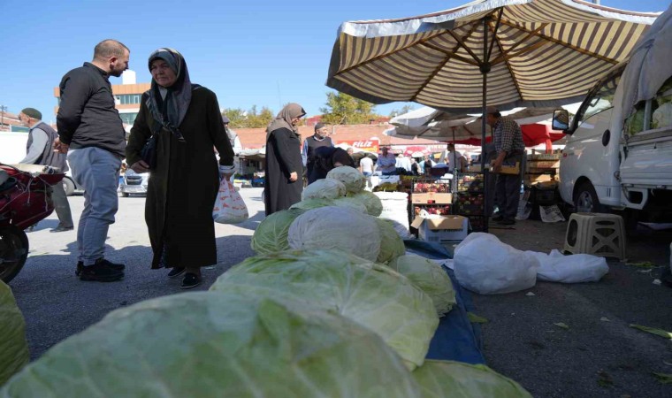 Erzincanda turşuluk ve yemeklik lahanalar tezgahta yerini aldı