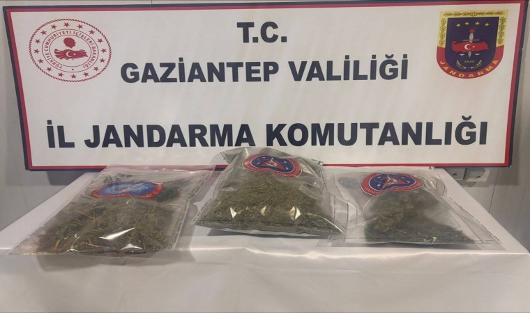 Gaziantepte 1 kilo esrar ele geçirildi