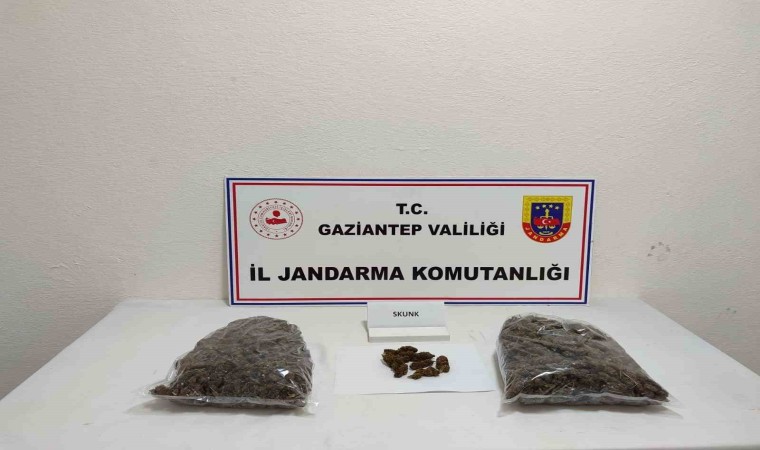 Gaziantepte 5 kilo skunk ele geçirildi: 1 şahıs tutuklandı