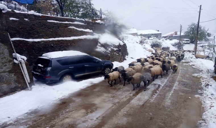 Giresunda kar yağışı nedeniyle mahsur kalan çobanlar kurtarıldı