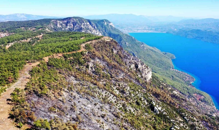 Gökovada alevlerin önünü kesmek için 6,5 kilometre yangın şeridi açıldı