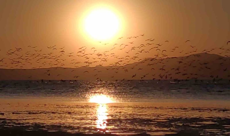 Güneşin kenti Vanda flamingolarla gün batımı