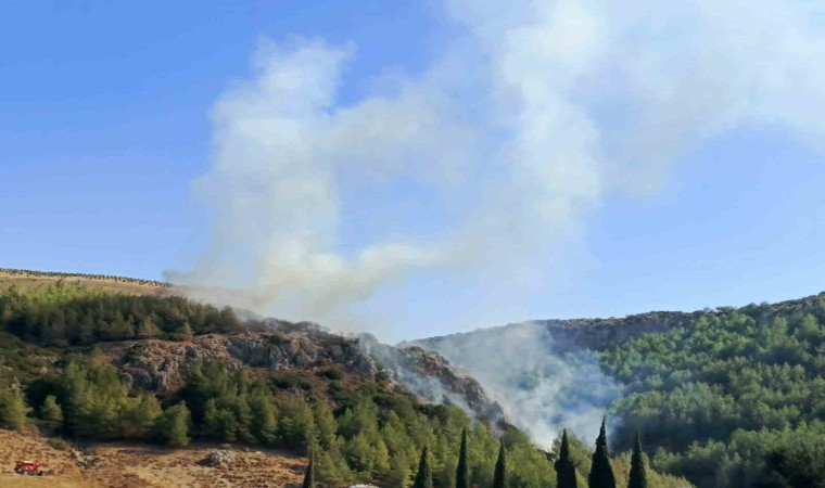 Hatayda orman yangını