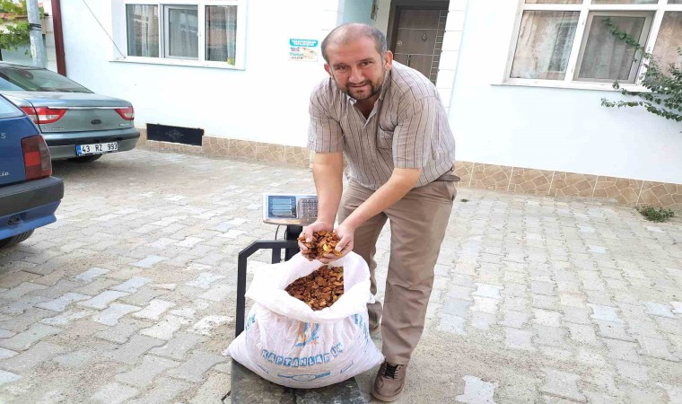 Hisarcık elma kurusunun fiyatı 35 TLye yükseldi