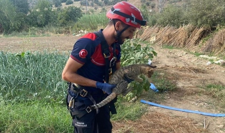 İzmirde kuyuya düşen kediyi itfaiye kurtardı