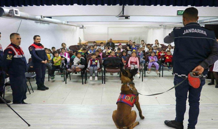 Jandarma ekipleri hayvanları koruma günüyle ilgili etkinlik gerçekleştirdi