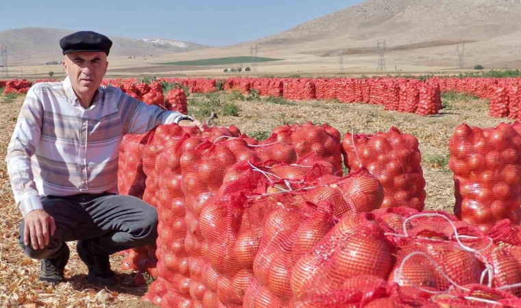 Karamanda kuru soğan üreticisinin yüzünü güldürüyor