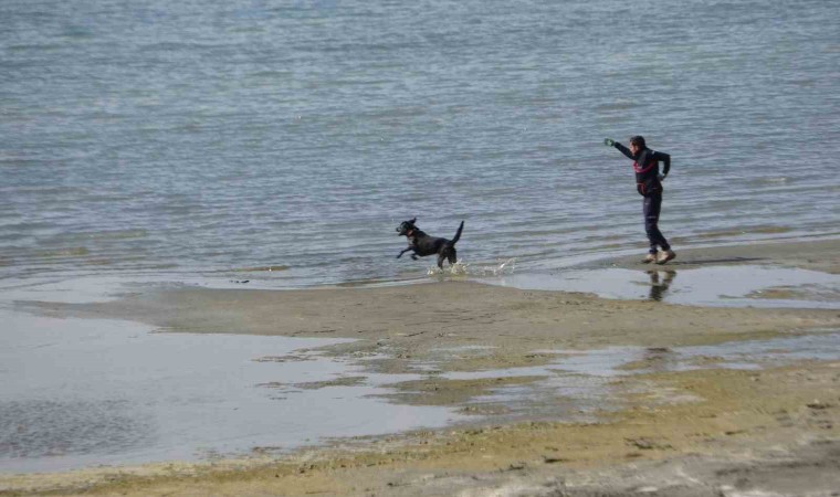 Kayıp öğrenci Rojin için AFADdan köpekli arama