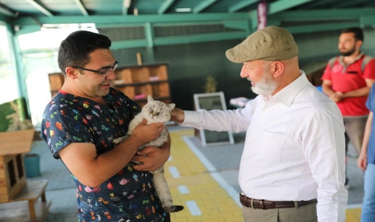 Kayseride ilk olan ‘Küçük Dostlar Kedi Kasabası ziyaretçi akınına uğruyor