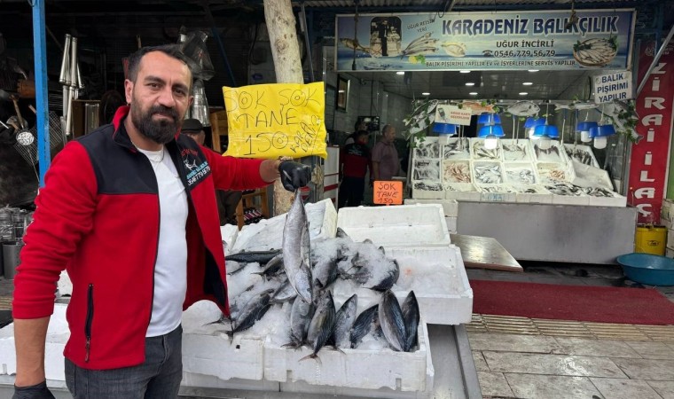 Kiliste havaların serinlemesiyle balık satışları arttı