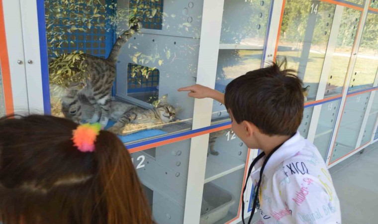 Konyaaltı Belediyesi, miniklere hayvan sevgisi aşılıyor