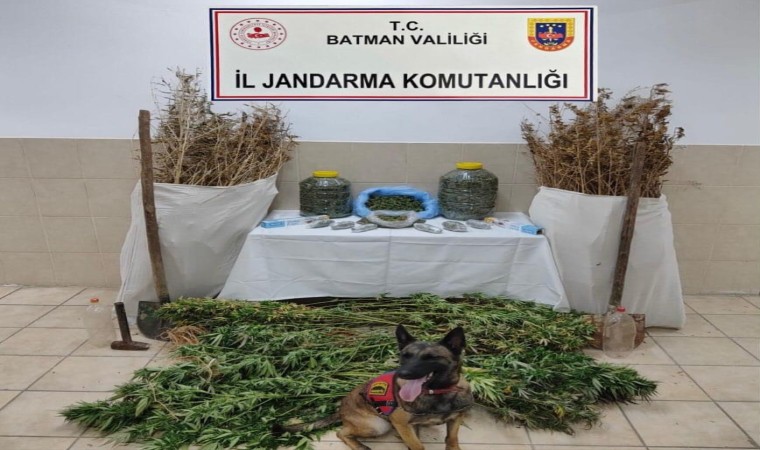 Kozlukta bir evde yapılan aramada 12 kilo kubar esrar yakalandı