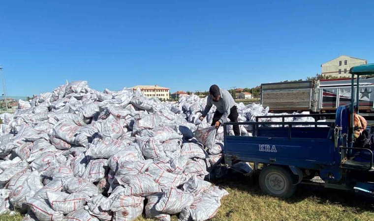 Kuluda bin 500 aileye kömür dağıtıldı