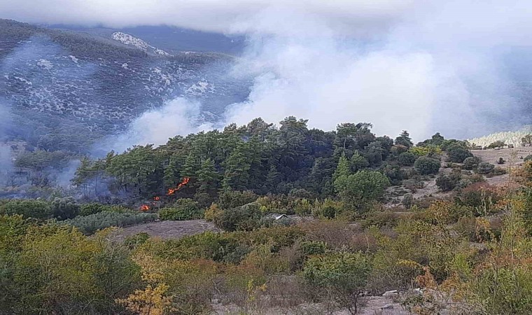 Kumlucada orman yangınında alevlerin sıçradığı ev kullanılamaz hale geldi