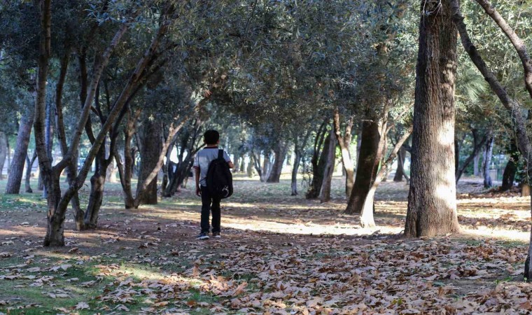 Manisaya sonbahar güzelliği geldi