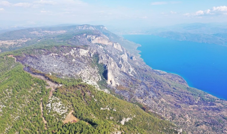 Menteşedeki orman yangını kontrol altına alındı