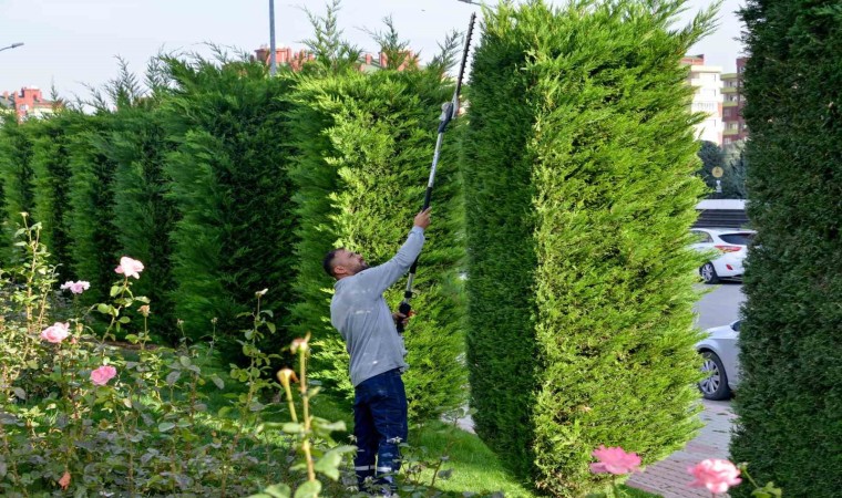 Meramın park ve bahçelerine kış bakımı