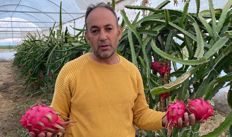 Mersin ve Antalyada tadına baktı, atıl araziyi ekonomiye kazandırdı