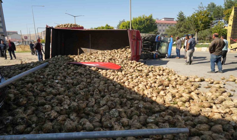 Muşta şeker pancarı yüklü traktör devrildi