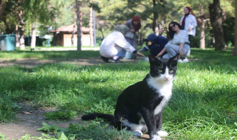 Öğrencilerden Hayvanları Koruma Günü duyarlılığı