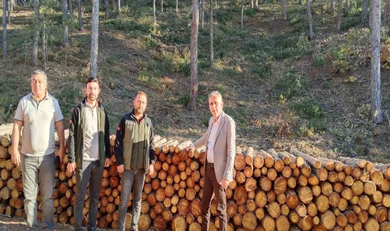 Orman Bölge Müdürü Dingil, Kütahya, Emet ve Simavda incelemelerde bulundu