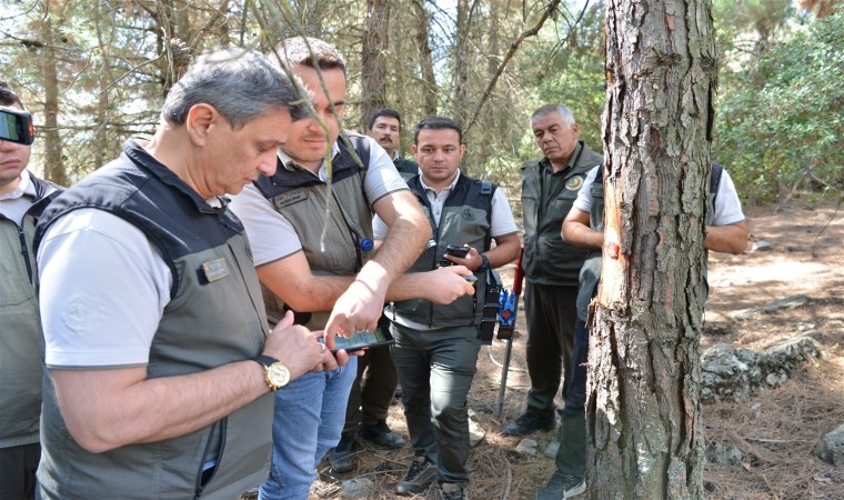 Orman ürünleri yenilikçi barkod sistemi ORKOD Uygulaması ile takip edilecek