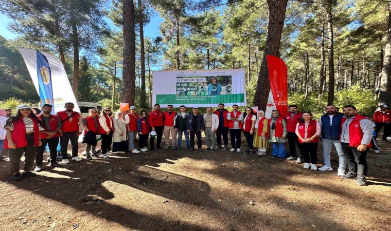 Osmaniyede ormanlık alanlar temizlendi