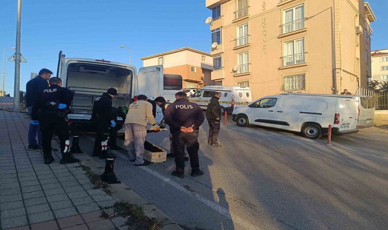 Pendikte korkunç olay: Kuzenini defalarca kez bıçaklayarak öldürdü