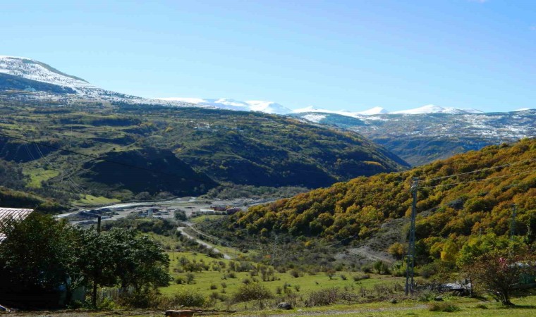 Posofta yeşil ile beyazın buluşması görsel şölen oluşturuyor