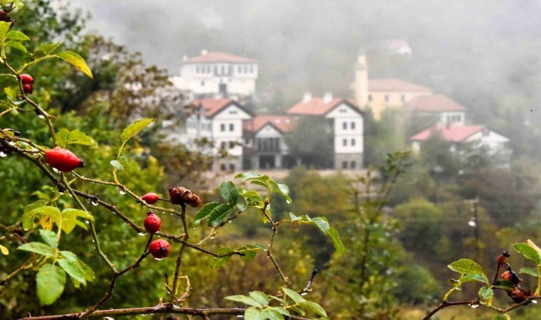 Tarihi Süleymaniye Mahallesinde sisli sonbahar güzelliği