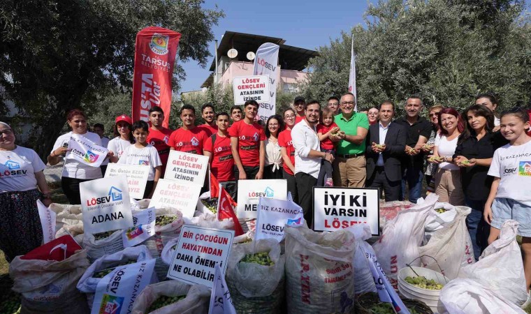 Tarsusta lösemili çocuklar için zeytin hasadı yapıldı