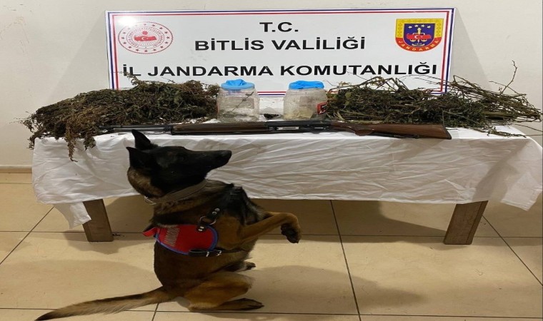 Tatvanda 3 kilo 960 gram kubar esrar ele geçirildi