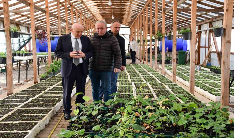 Termede mevsimlik çiçekler toprakla buluşmaya hazırlanıyor