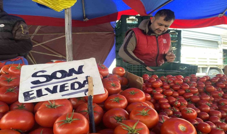 Ucuz ve lezzetli bahçe domateslerine esnaf Son elveda dedi