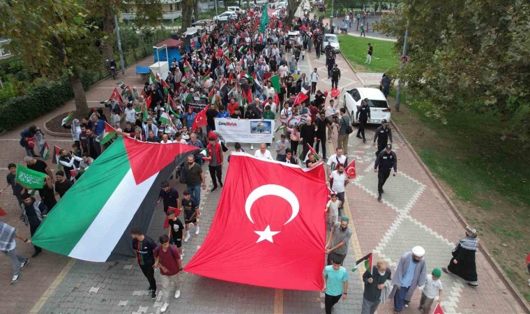 Yalovada Gazze işgalinin 1. yıl dönümünde protesto yürüyüşü