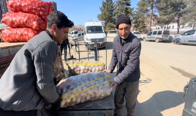 Yüksekovada patates satışları başladı