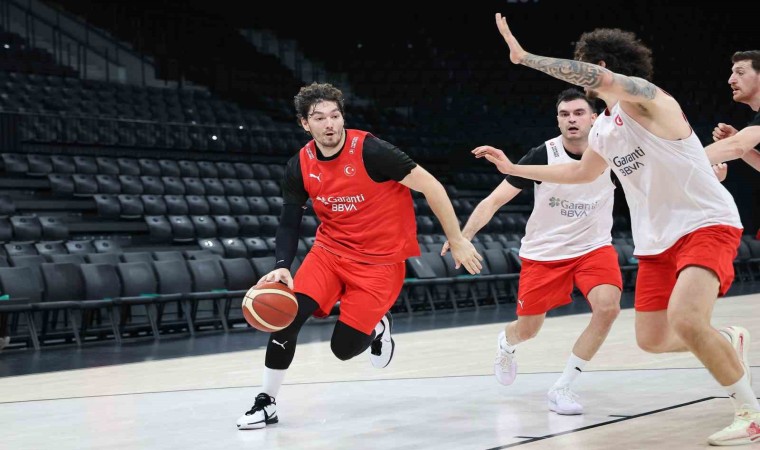 A Milli Erkek Basketbol Takımı, Macaristan karşısında