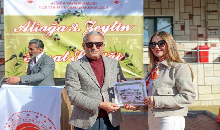 Aliağada 3. Zeytin Hasat Şenliği düzenlendi