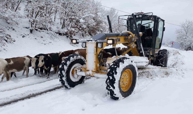 Amasyada 107 köy yolu kar yağışından ulaşıma kapandı