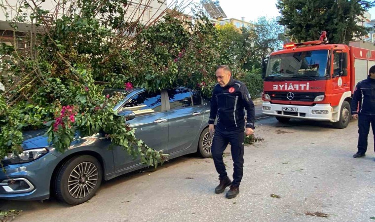 Antalyada fırtınaya dayanamayan ağaç park halindeki aracın üzerine devrildi