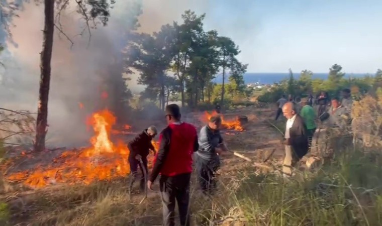 Antalyada hava aracı ormanlık alana düşüp infilak etti